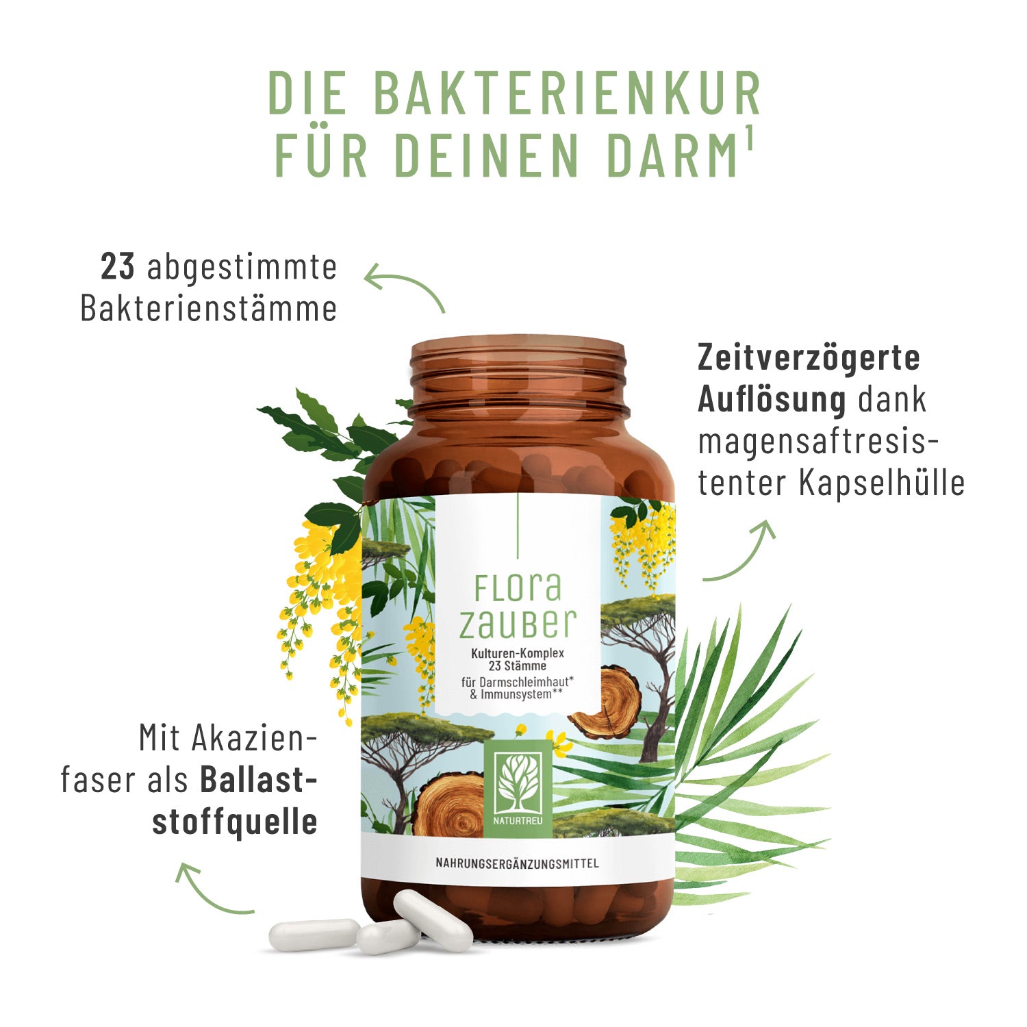 Creative Callout Test FLZA