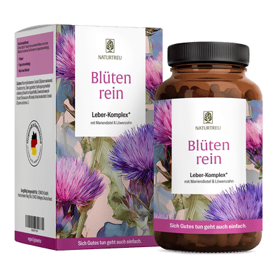 Blütenrein: Leber-Komplex mit Mariendistel