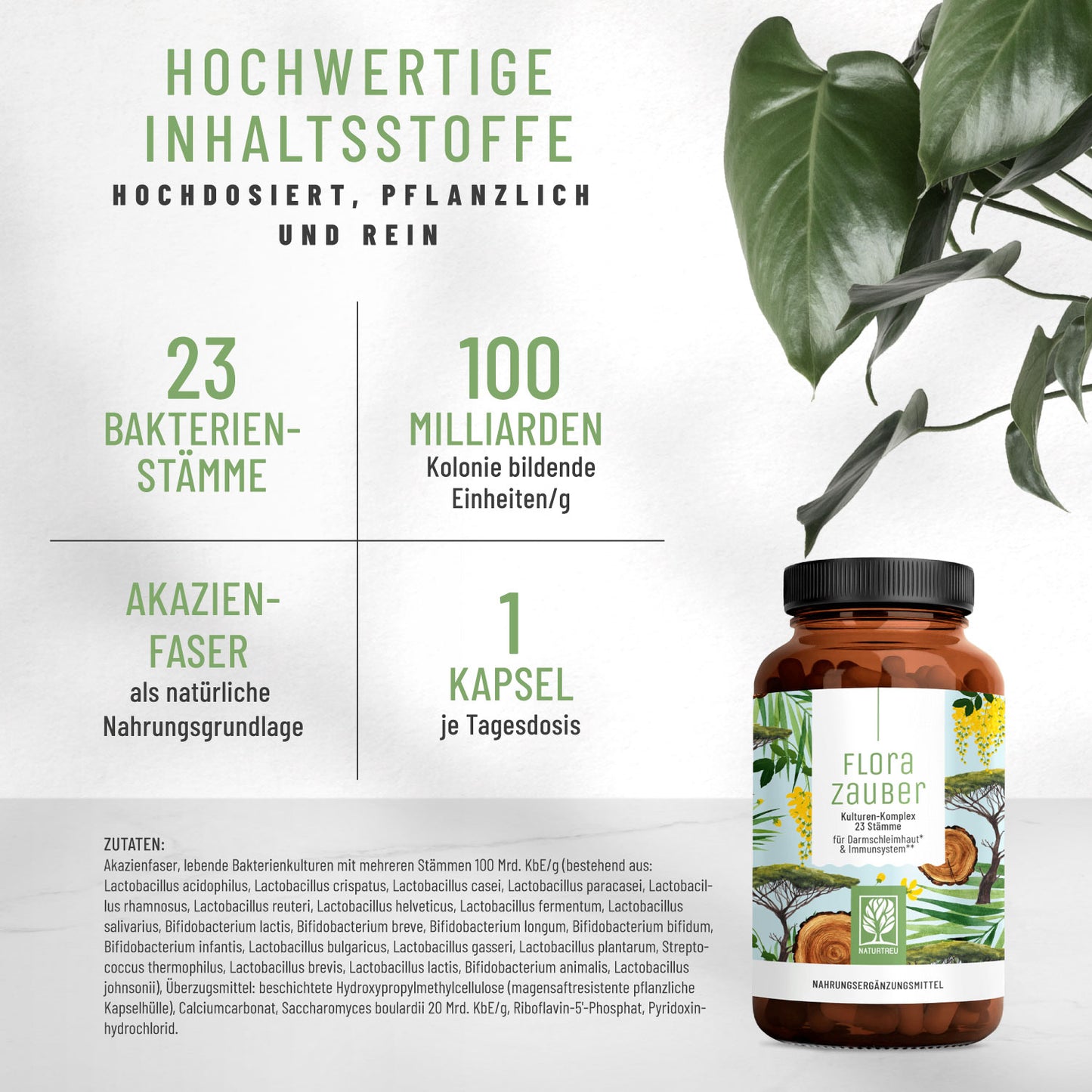 Florazauber Kulturen-komplex Hochwertige Inhaltsstoffe
