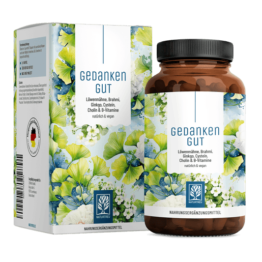 Gedankengut Loewenmaehne Brahmi Ginkgo Cystein Cholin B-Vitamine Titelbild