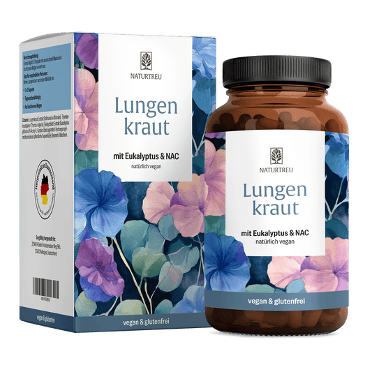 Lungenkraut Eukalyptus Thymian NAC Titelbild