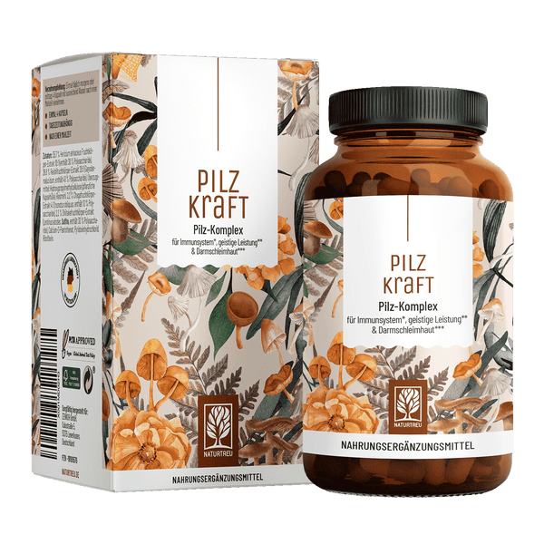 Pilz-Komplex für Immunsystem*, geistige Leistung** & Darmschleimhaut***