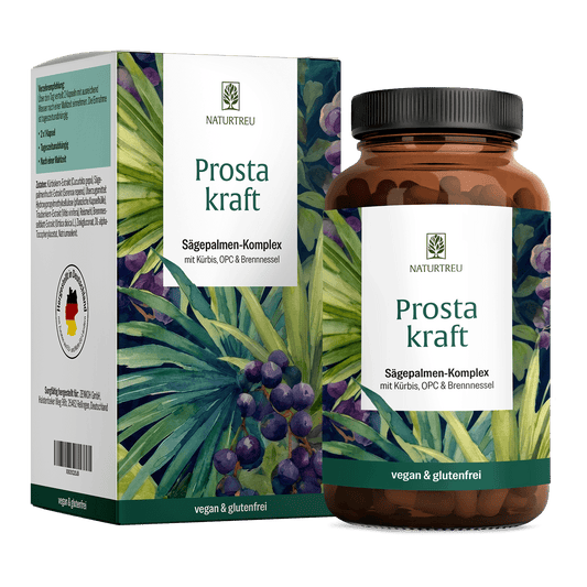 Prostakraft Titelbild
