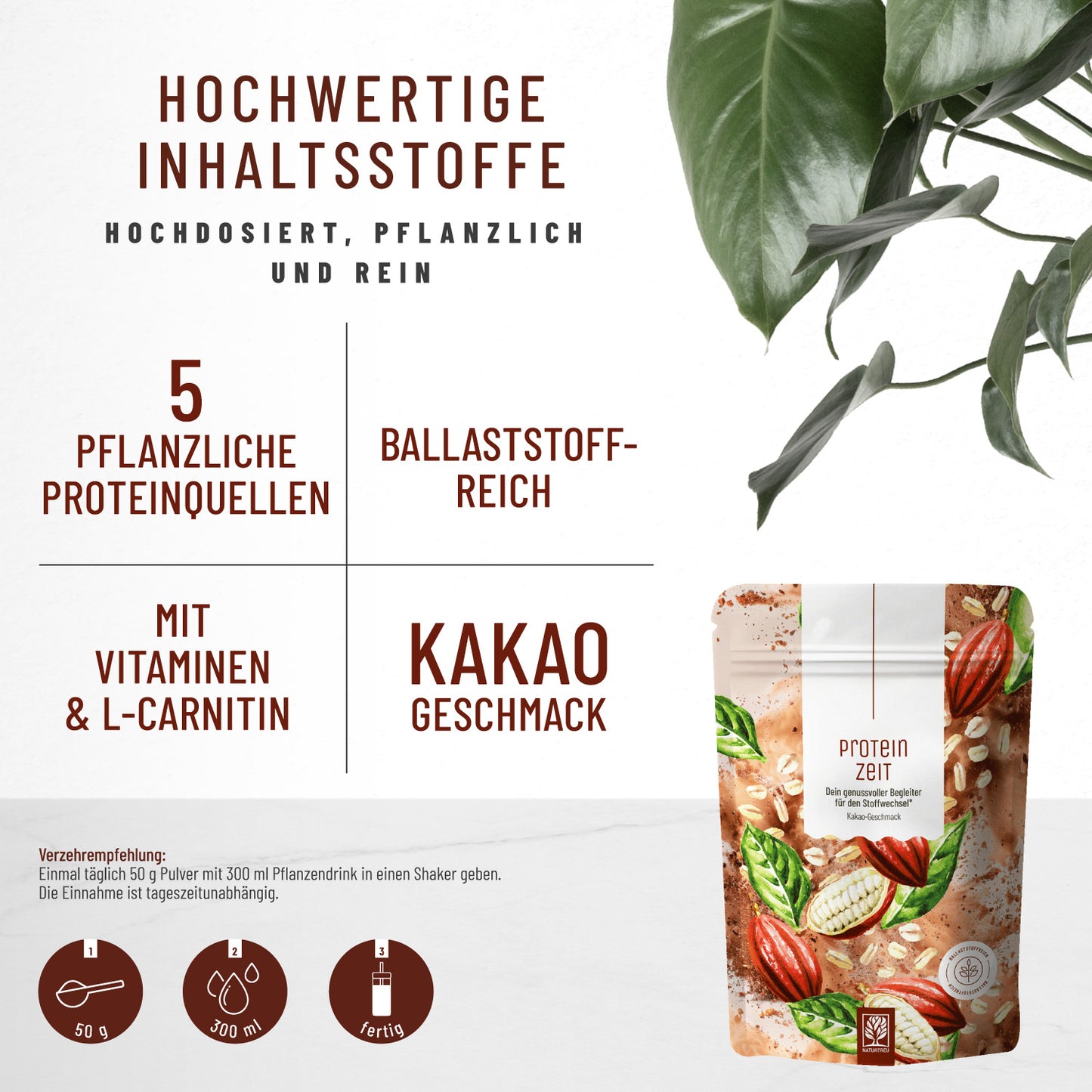 Proteinzeit Proteinpulver Hochwertige-Inhaltsstoffe