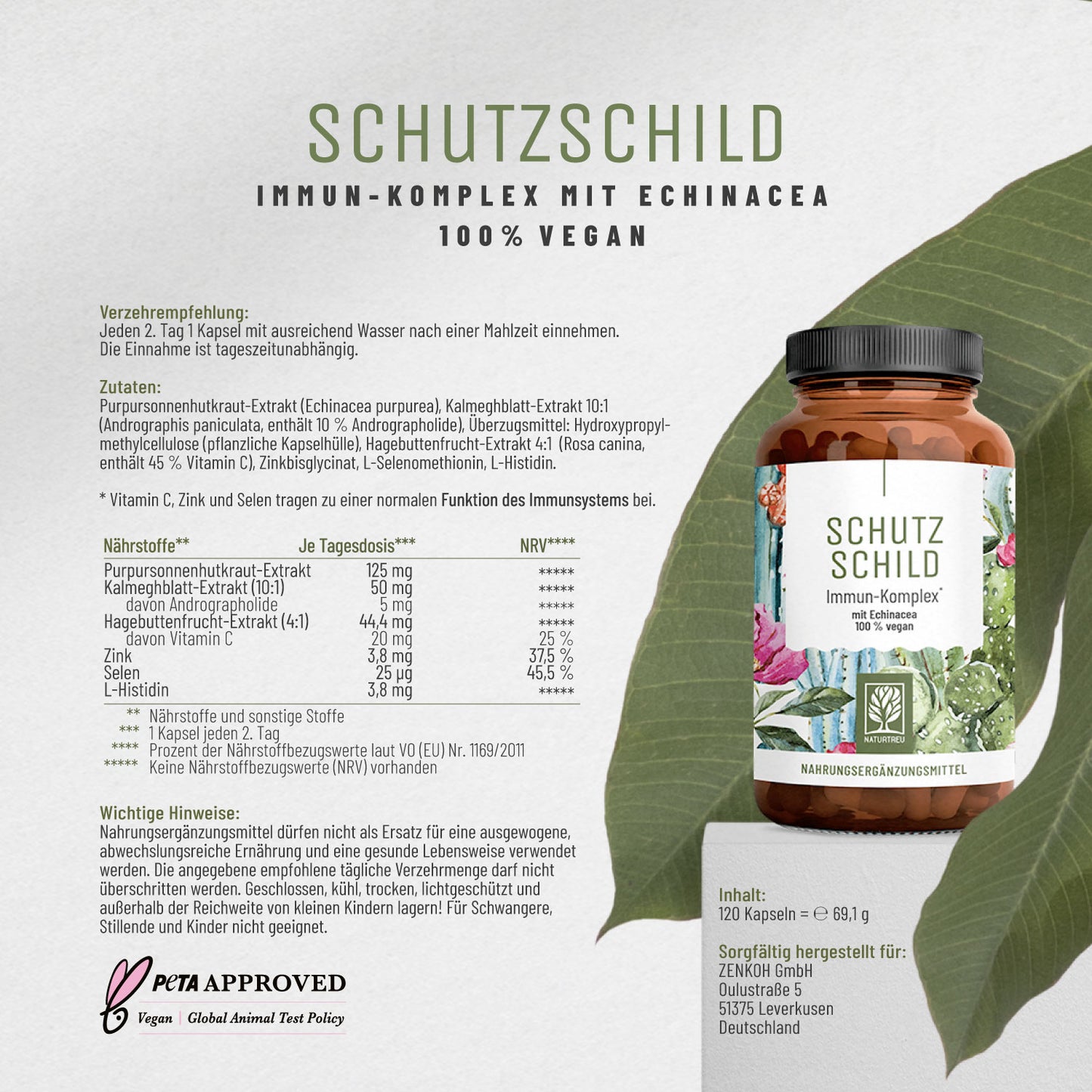 Schutzschild: Immun-Komplex mit Echinacea