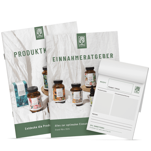 Starterkit Paket für Heilpraktiker Titelbild