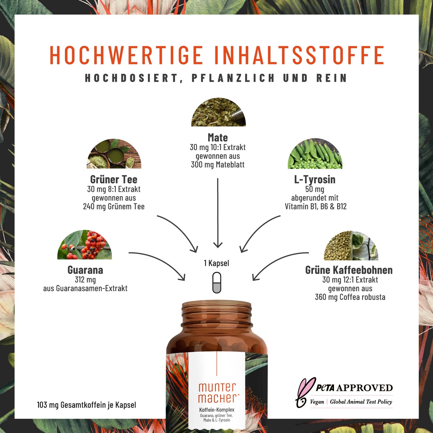 muntermacher koffein komplex inhalt