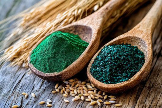 Zwei Mikroalgen im Fokus: Warum Spirulina & Chlorella für eine bewusste Ernährung gerade so gefragt sind