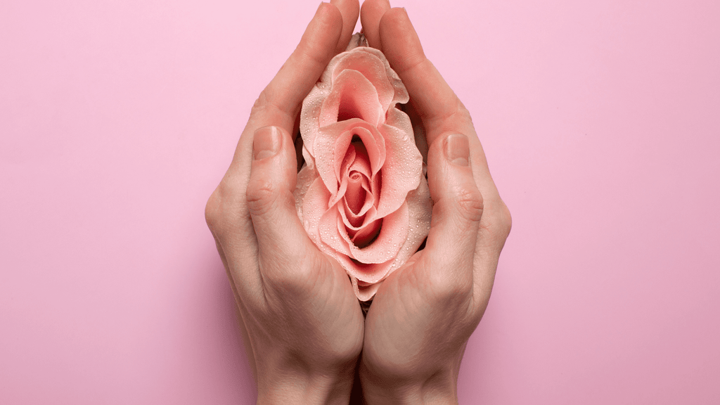 Die Scheidenflora stärken – Wie man die Intimflora wieder aufbauen kann!