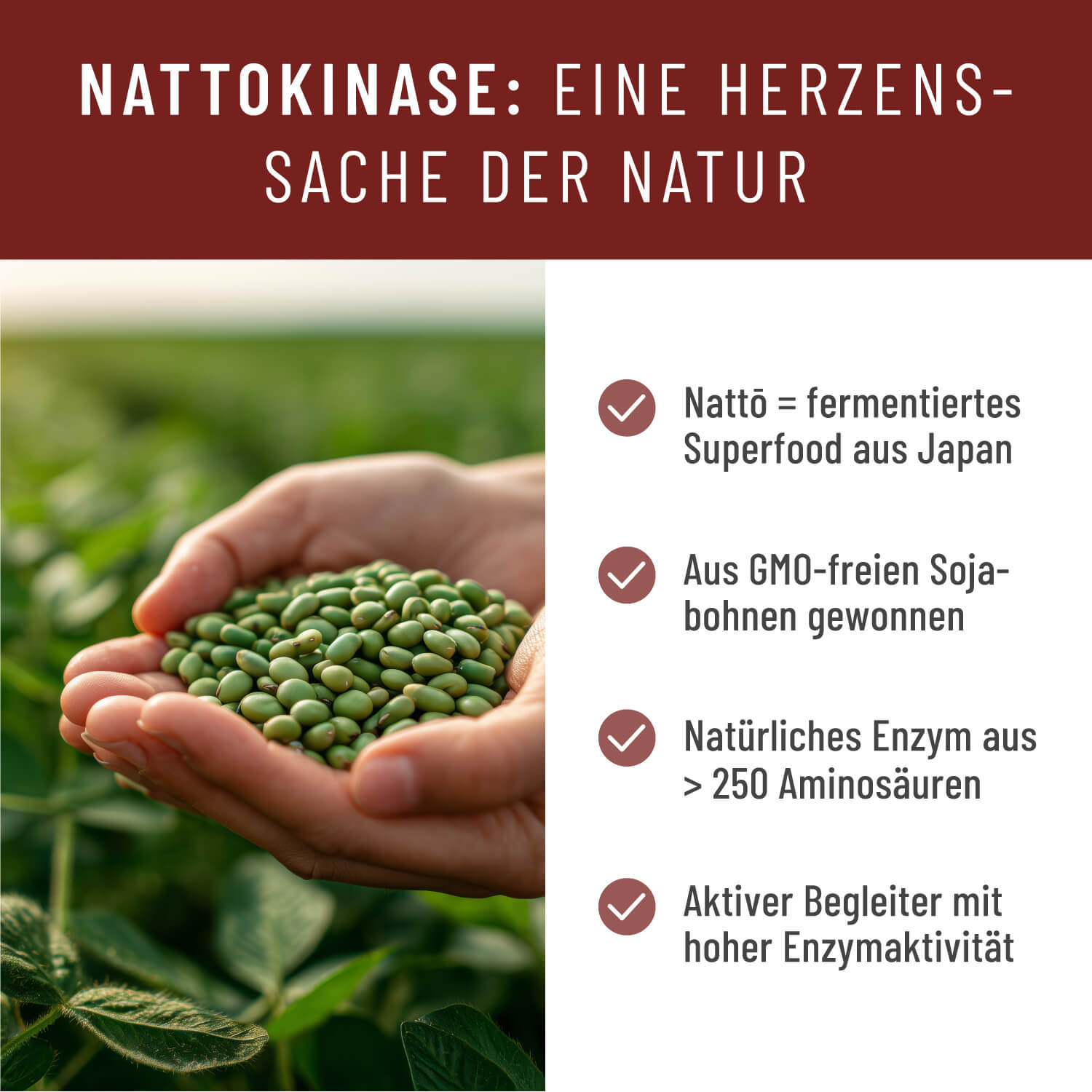 Blutfluss Creatives Onlineshop Nattokinase