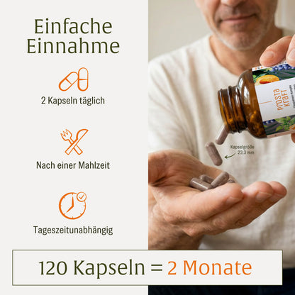 Prostakraft: Sägepalmen-Komplex mit Kürbis, Traubenkern, Brennnessel, Vitamin E, Zink & Selen