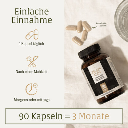 Heldenkraft: Maca-Komplex mit Tribulus