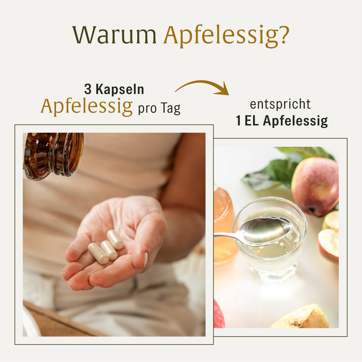 Apfelessig Creatives DE Onlineshop Warum Apfelessig