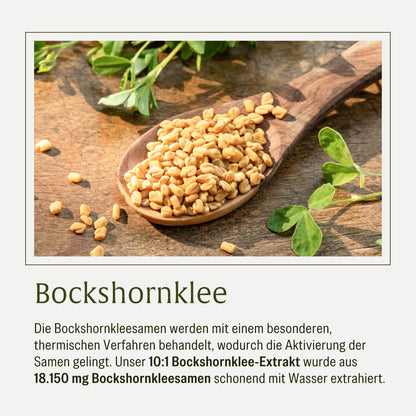 Stillzeit: Aktivierter Bockshornklee-Komplex