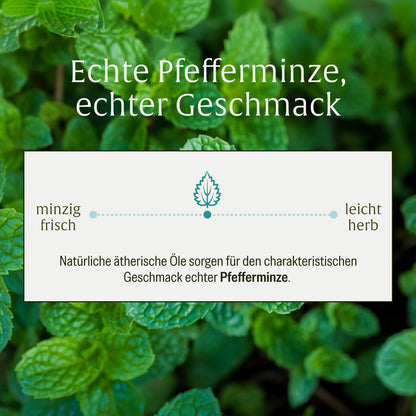 Minzbrise mit Milchsäurebakterien