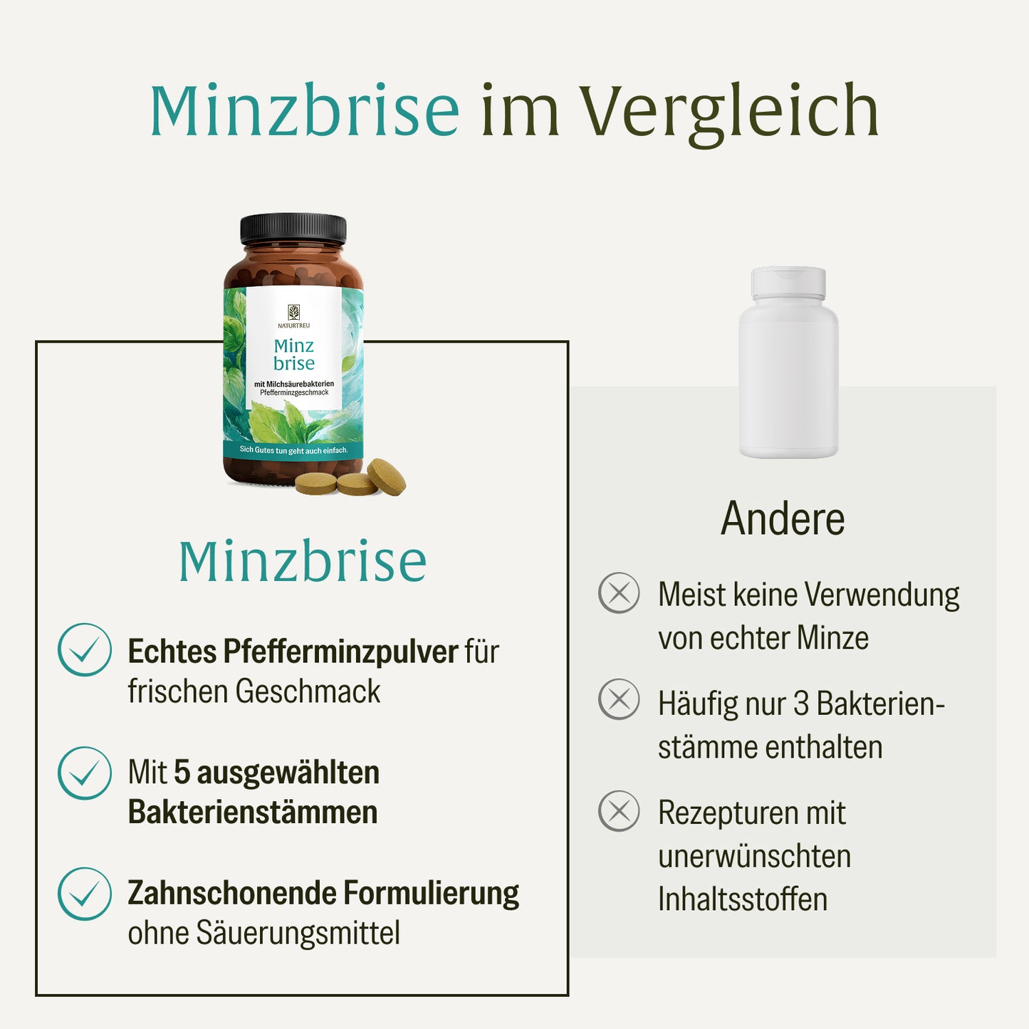 Minzbrise mit Milchsäurebakterien