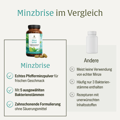 Minzbrise mit Milchsäurebakterien