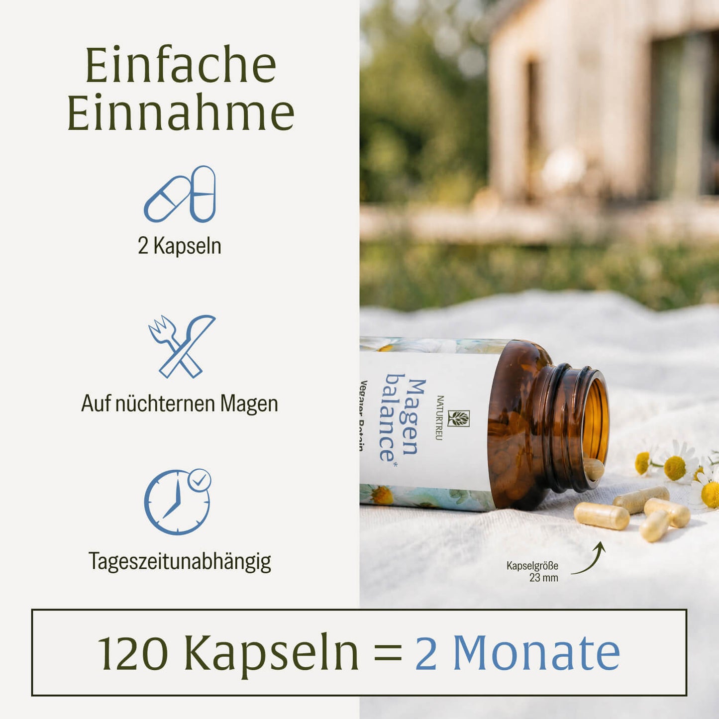 Magenbalance: Betain HCI-Komplex mit Pepsin & Kamille