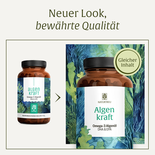 Algenkraft: Omega 3 Algenöl Kapseln