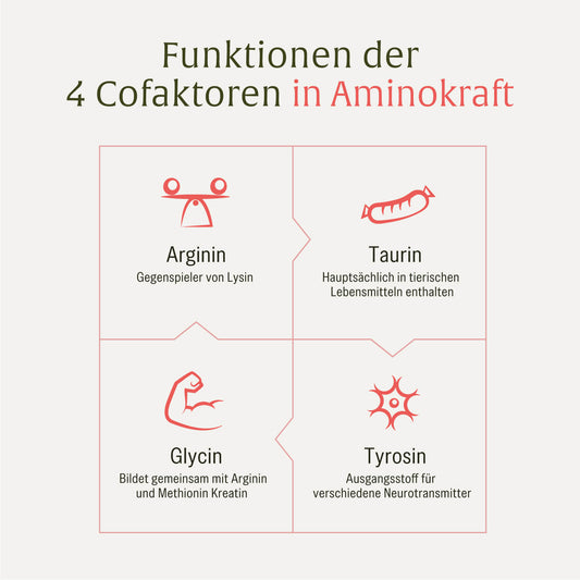 Aminokraft Aminosäuren Komplex Cofaktoren