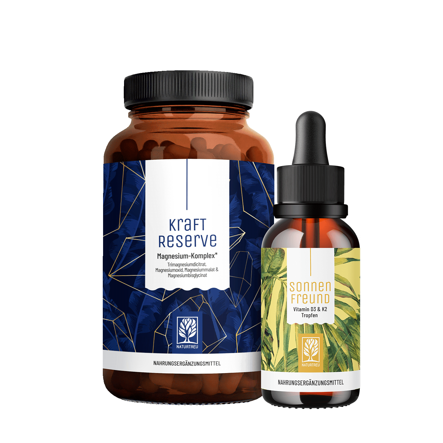 Basispaket Titelbild