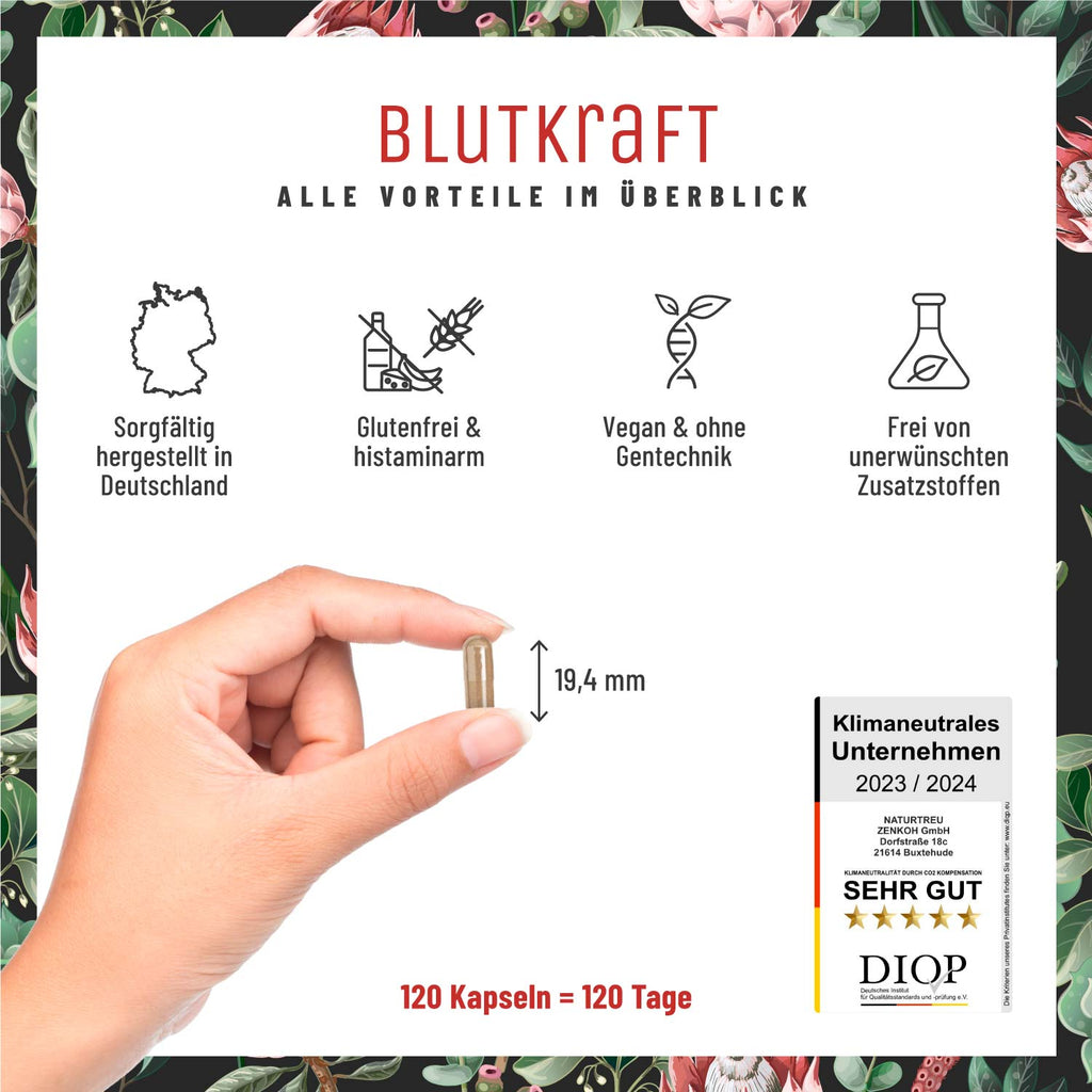 Blutkraft Eisen-Komplex alle Vorteile