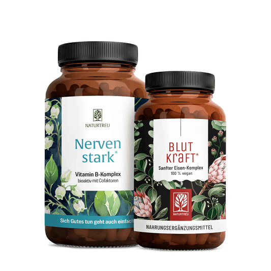 Innere Stärke Sparpaket: Nervenstark & Blutkraft