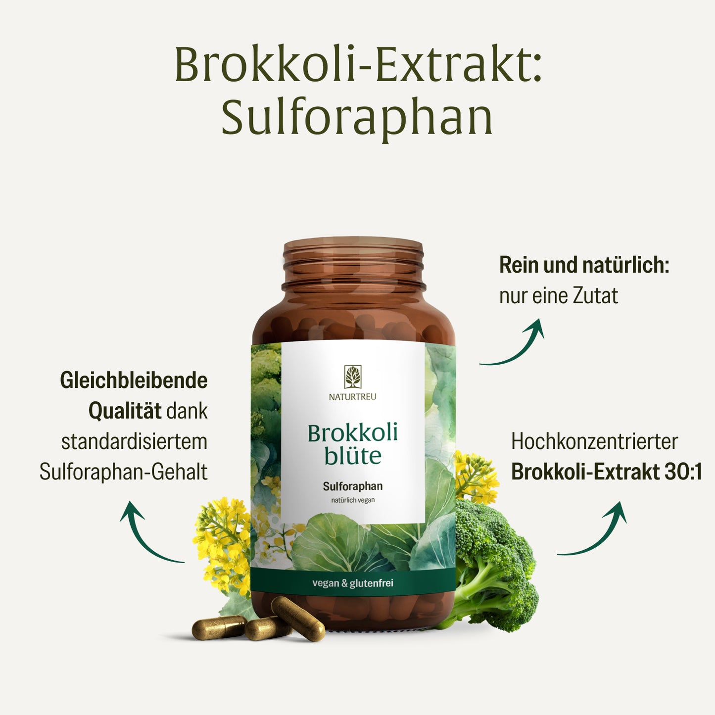 Brokkoliblüten-Extrakt: Sulforaphan in konzentrierter Form – hochkonzentrierter Brokkoli-Extrakt 30:1, rein und natürlich mit nur einer Zutat, gleichbleibende Qualität dank standardisiertem Sulforaphangehalt, vegan und glutenfrei.