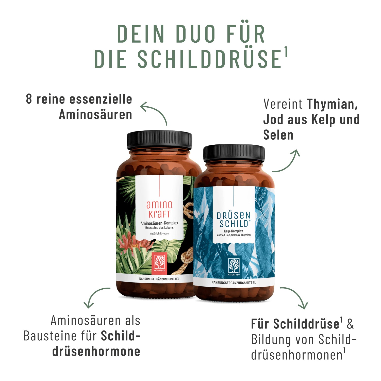 Bundle Callout Creatives Schildkraft-Sparpaket