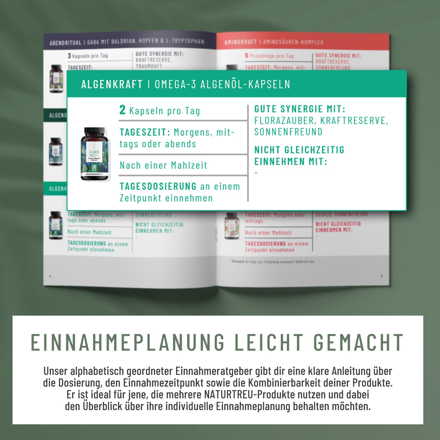Naturtreu Einnahmeratgeber Einnahmeplanung leicht gemacht