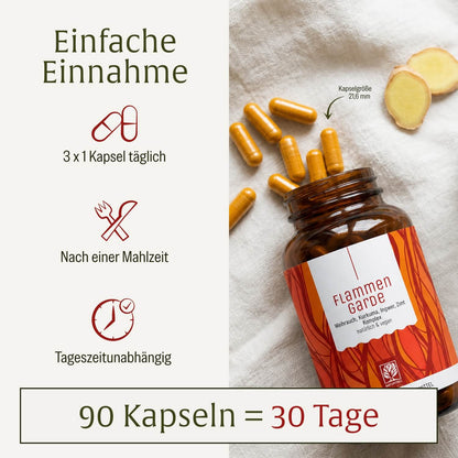 Flammengarde: Kurkuma Weihrauch Komplex mit Ingwer und Zimt