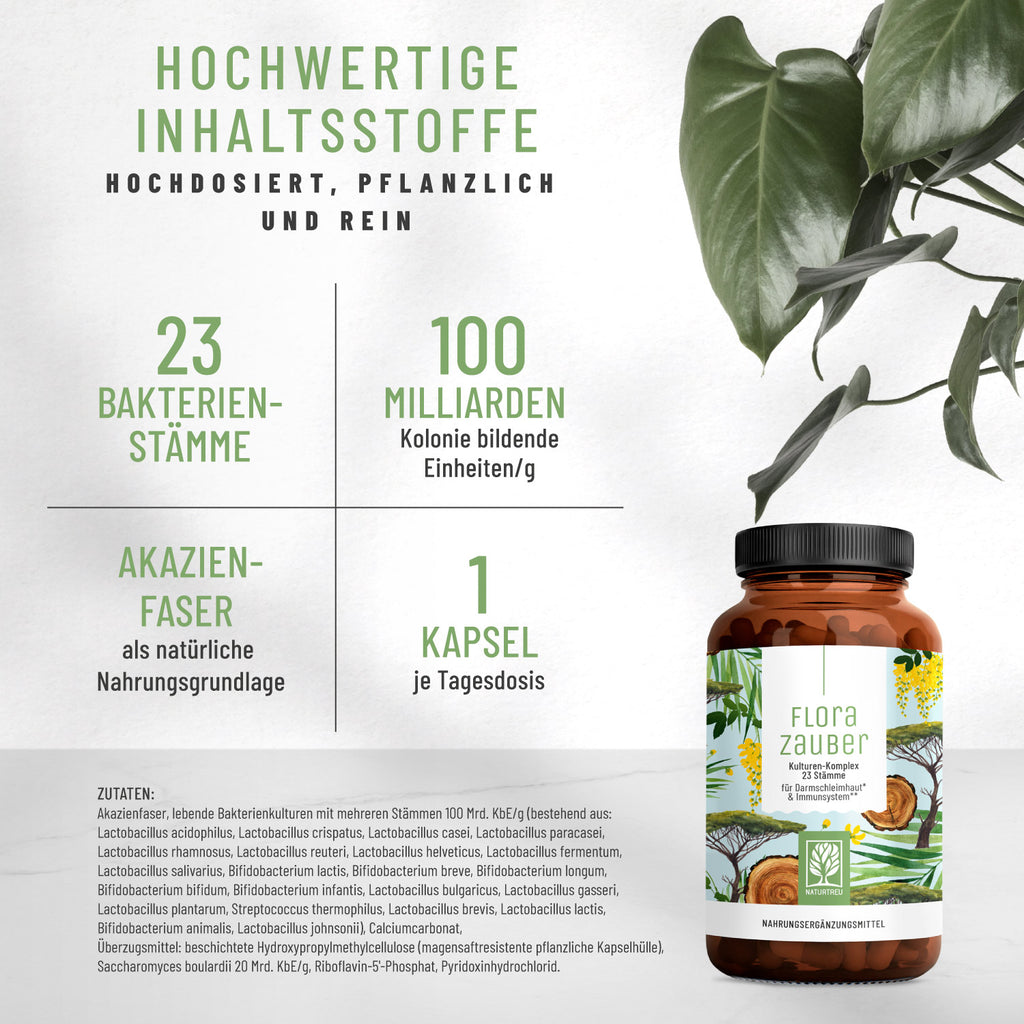 Florazauber Bakterien-Kulturen hochwertige Inhaltsstoffe