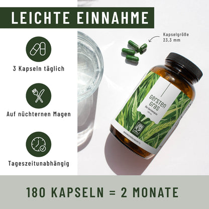 Gerstengras Creatives Onlineshop Einnahme
