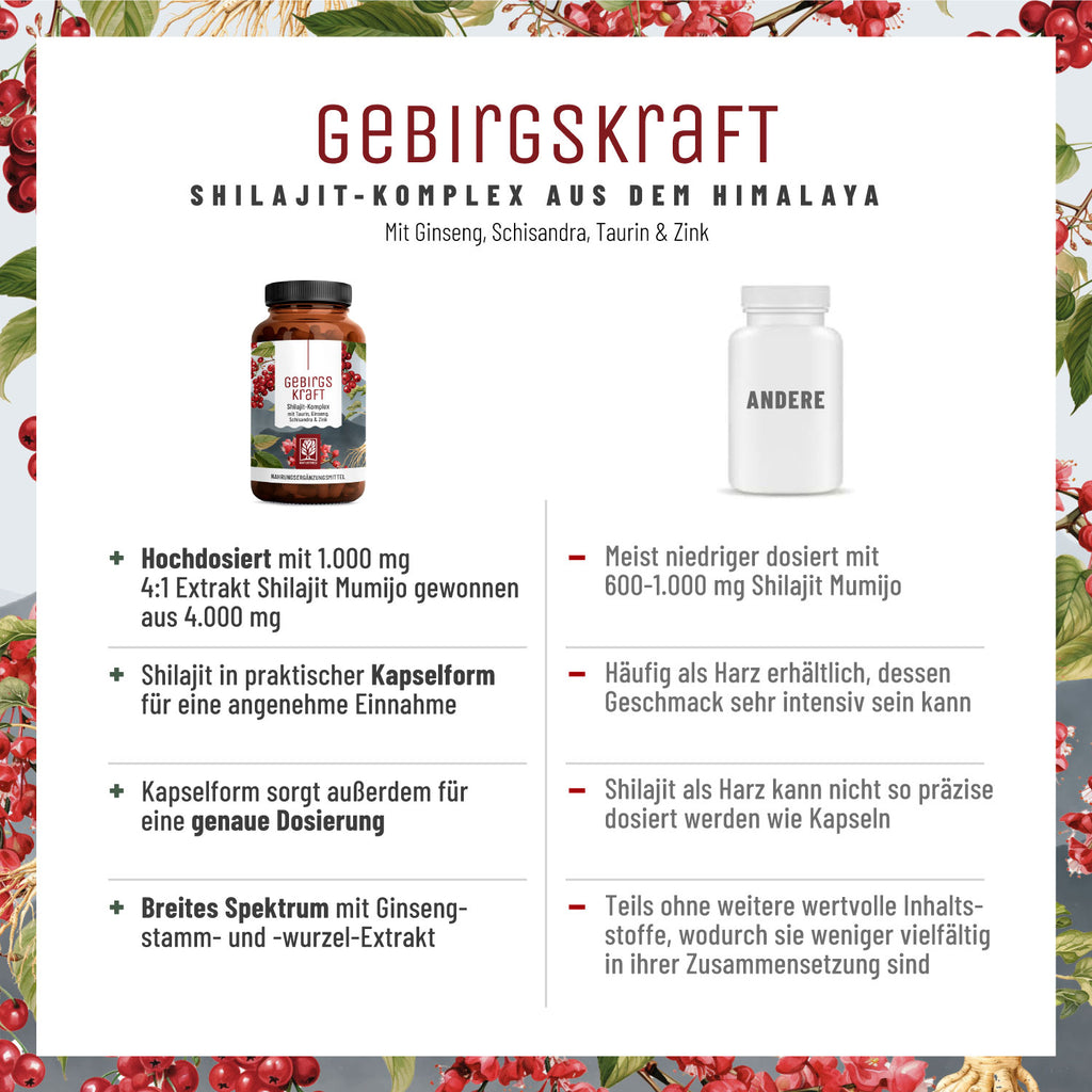 Gebirgskraft Shilajit-Komplex Vergleichstabelle 