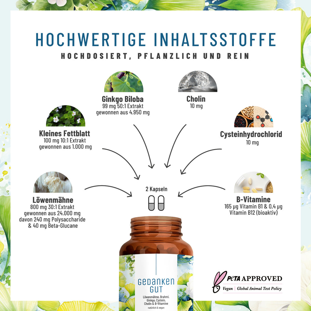 Gedankengut Löwenmaehne Brahmi Ginkgo Cystein Cholin B-Vitamine Inhaltsstoffe