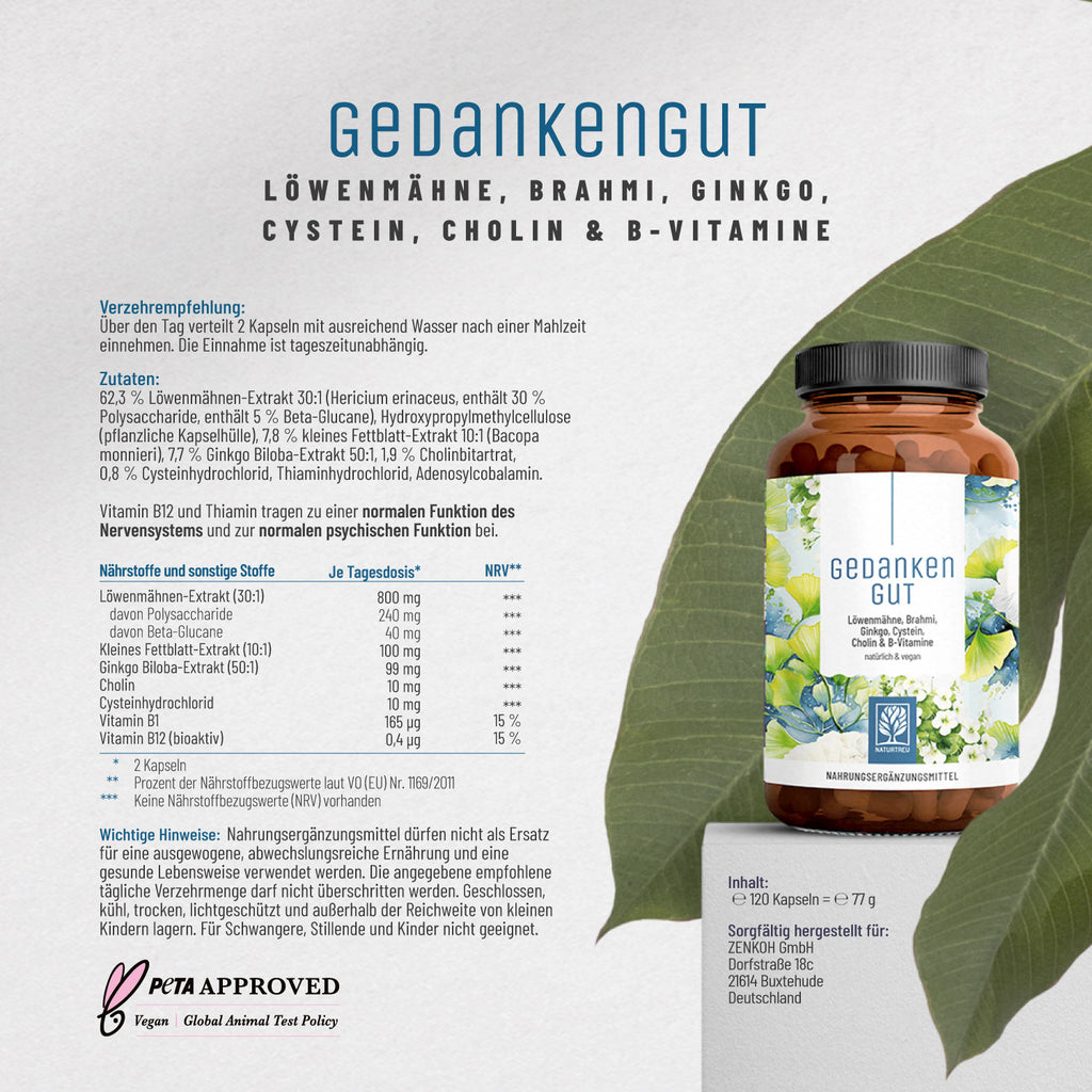 Gedankengut Löwenmaehne Brahmi Ginkgo Cystein Cholin B-Vitamine Etikett