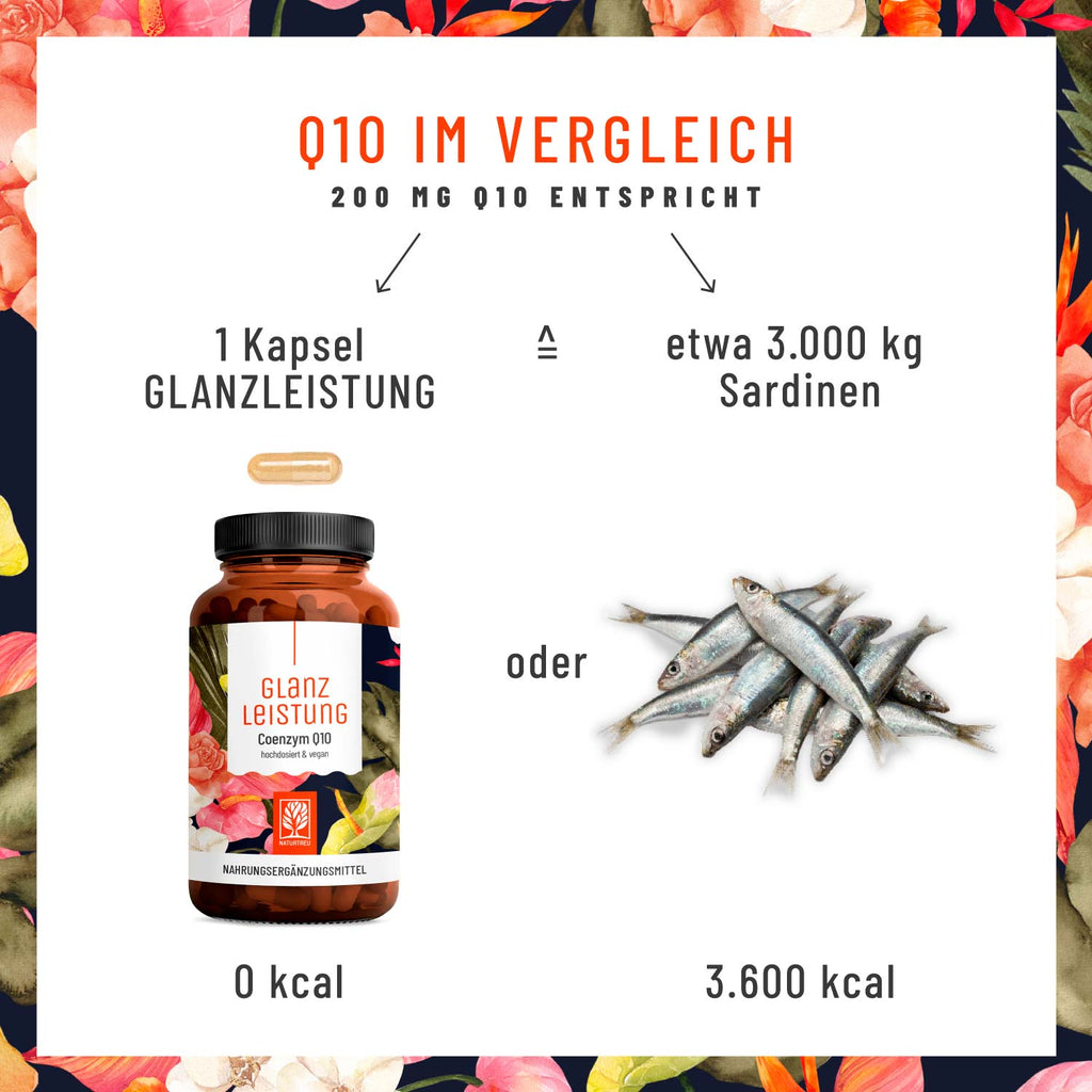 Glanzleistung Coenzym Q10 im Vergleich