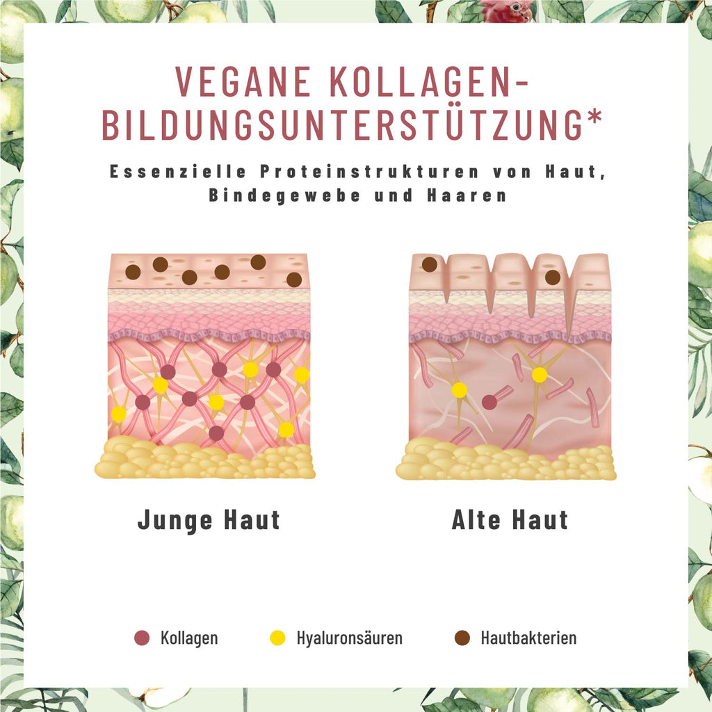 Glanzvoll Vegane Kollagen-Bildungsunterstützung Kollagen