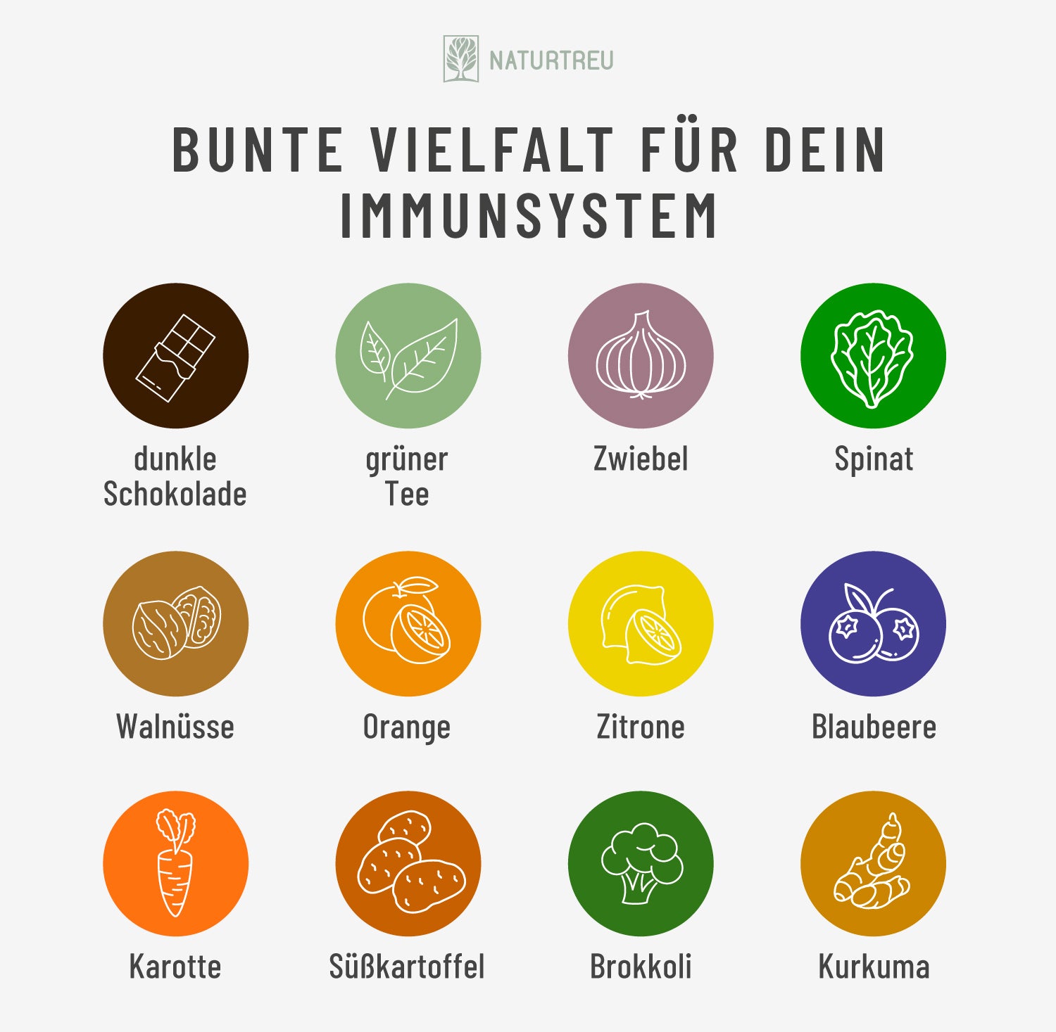 Man sieht Obst und Gemüse Arten, die zu einer gesunden Ernährung dazugehören.  