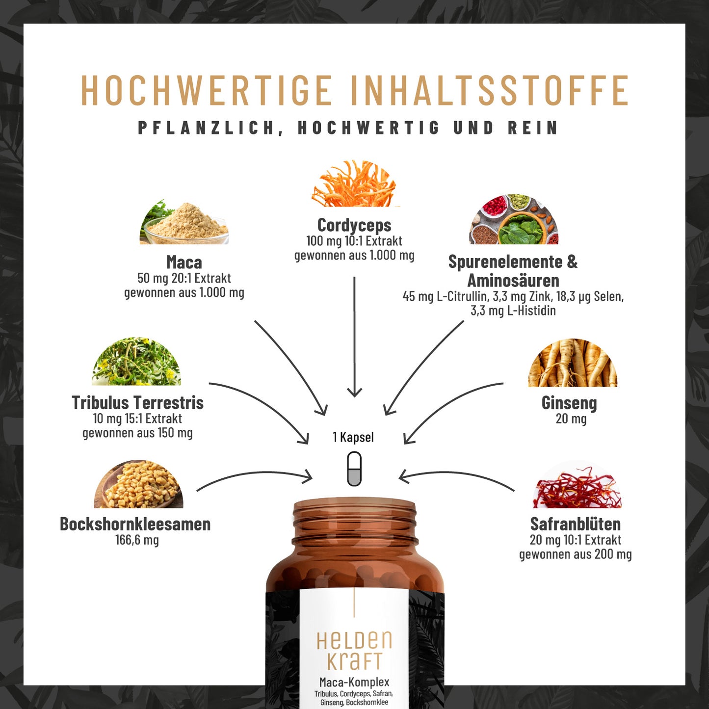 Heldenkraft: Maca-Komplex mit Tribulus