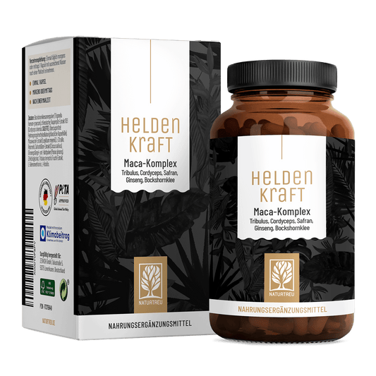 Heldenkraft Titelbild 