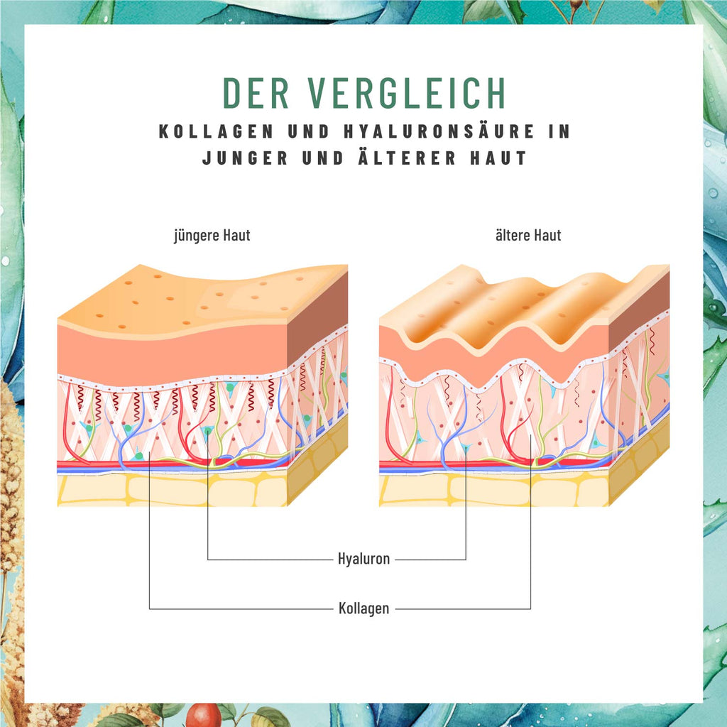 Jungquell mit-Hyaluronsaeure-Aloe-Vera-Hagebutte-Hirse-Biotin Moodbild Vergleich 