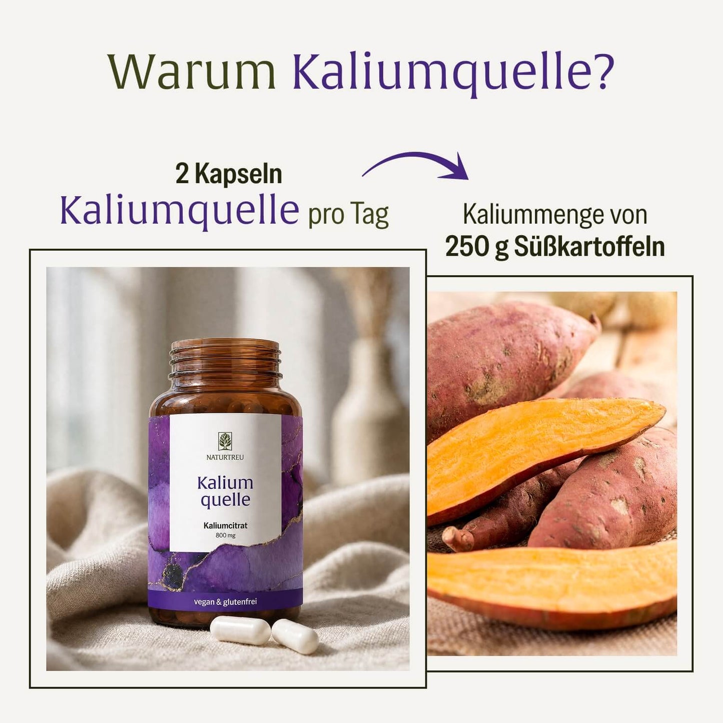 Kaliumquelle: Kaliumkapseln mit 800 mg elementarem Kalium aus reinem Kaliumcitrat