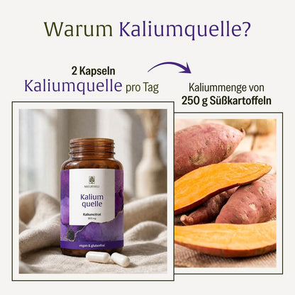 Kaliumquelle: Kaliumkapseln mit 800 mg elementarem Kalium aus reinem Kaliumcitrat