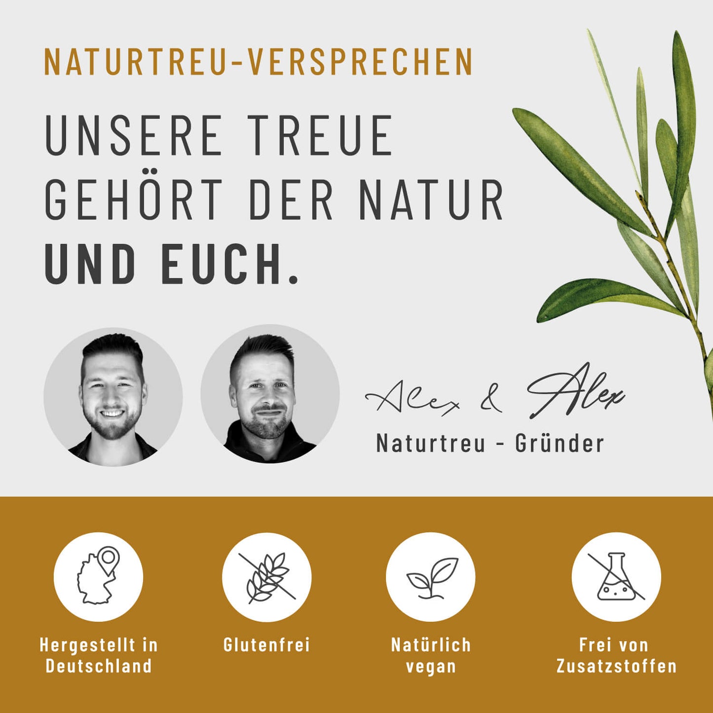 Koenigskurkuma Curcuma Komplex Onlineshop Naturtreu Versprechen
