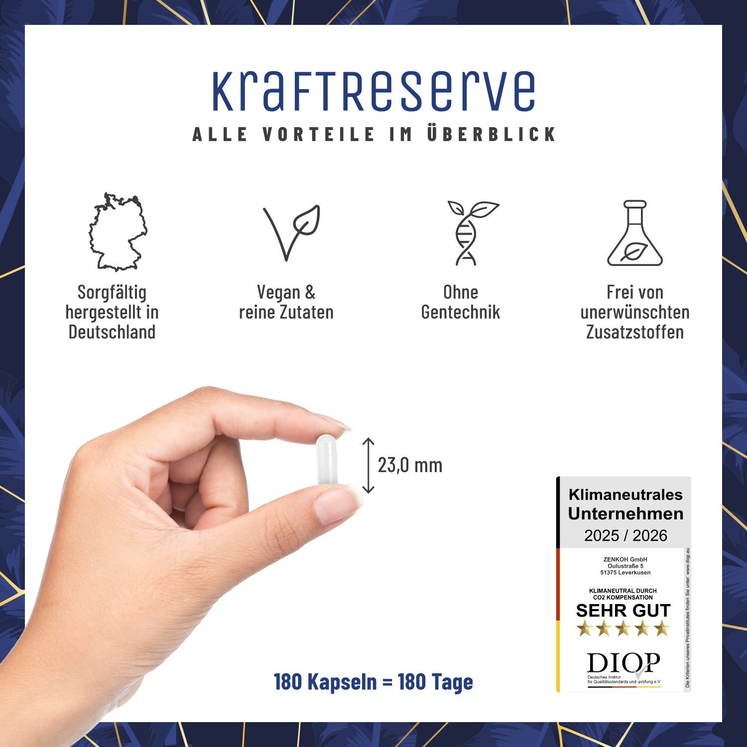 Kraftreserve Magnesium-komplex Alle Vorteile CH