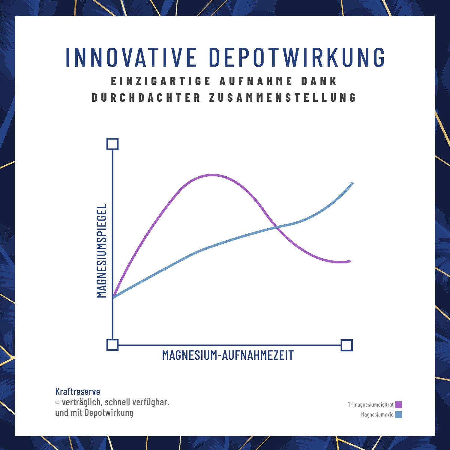 Kraftreserve Magnesium-komplex Depotwirkung CH