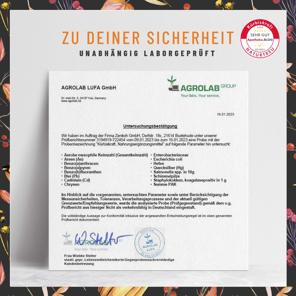 Kürbiskraft Kürbis-Komplex Laborzertifiziert