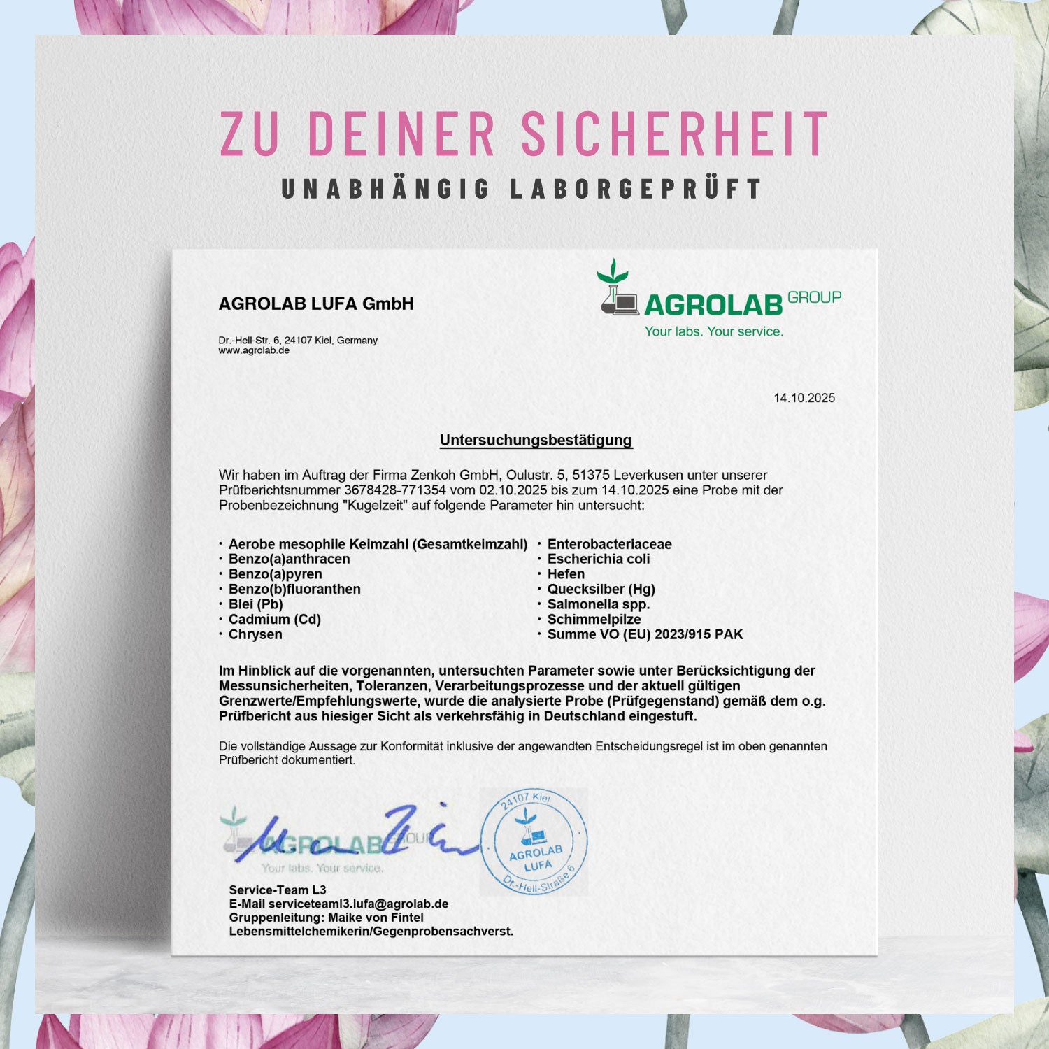 Kugelzeit Schwangerschafts-Komplex Laborzertifikat 