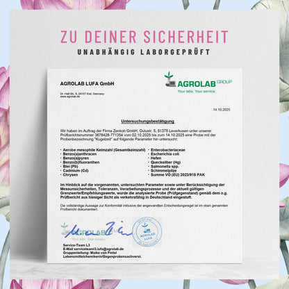 Kugelzeit Schwangerschafts-Komplex Laborzertifikat 